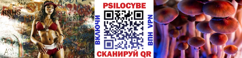 Галлюциногенные грибы GOLDEN TEACHER  магазин    Чишмы 
